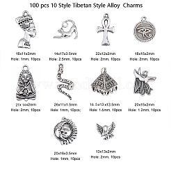 100 pcs 10 Style Tibetan Style Alloy  Pendants&nbsp;TIBEP-CJ0001-33