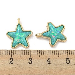 Translucent Resin Pendants&nbsp;KK-M291-24