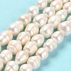 Natural Cultured Freshwater Pearl Beads Strands&nbsp;PEAR-E016-109