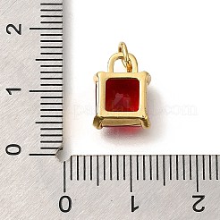 Brass Charms&nbsp;KK-M295-20G-01