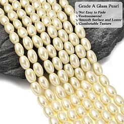 Eco-Friendly Glass Pearl Barrel Beads Strands&nbsp;HY-O001-A-03