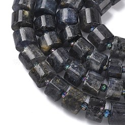 Natural Iolite Beads Strands&nbsp;G-C270-I03-01