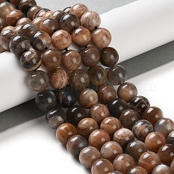 Natural Black Sunstone Beads Strands&nbsp;G-U009-A01-04