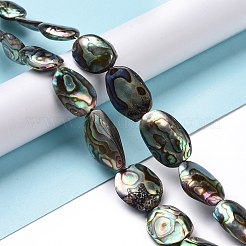 Natural Abalone Shell/Paua Shell Beads&nbsp;SSHEL-E379-1