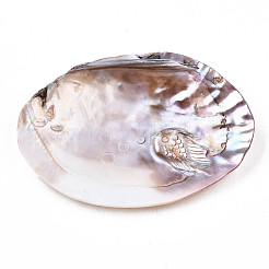 Natural Freshwater Shell Display Decorations&nbsp;SHEL-Q312-007