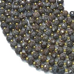Natural Snowflake Obsidian Beads Strands&nbsp;G-K389-E32-01