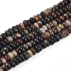 Natural Biotite Beads Strands&nbsp;G-T140-69B