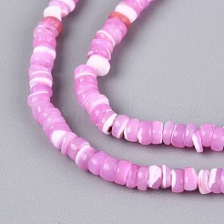 Natural Trochid Shell/Trochus Shell Beads Strands&nbsp;SSHEL-N040-21E