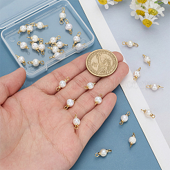 30Pcs Natural Cultured Freshwater Pearl Round Connector Charms&nbsp;PALLOY-ME00016