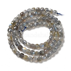 Natural Labradorite Beads Strands&nbsp;G-D470-10