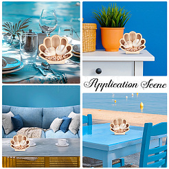 Shell Shaped Wooden Sea Shell Storage Display Cases with Visible Window&nbsp;ODIS-WH20012-01