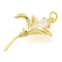 Rack Plating Brass Cubic Zirconia Pendants&nbsp;KK-S396-33G