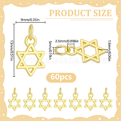 60Pcs Alloy Charms&nbsp;FIND-HY0005-39