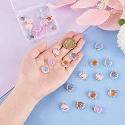 30pcs 5 colors Transparent Glass Pendants&nbsp;FIND-OC0002-42