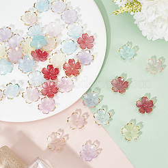 200Pcs 10 Colors Resin Bead Caps&nbsp;FIND-DR0001-40