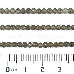 Natural Labradorite Beads Strands&nbsp;G-M438-A01-01