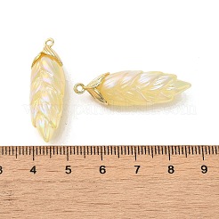 Rainbow Iridescent Plating Resin Pendants&nbsp;LS-RESI-C047-03C-G