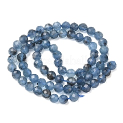 Natural Devil Blue Aquamarine Beads Strands&nbsp;G-P629-A02-04