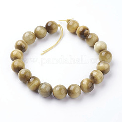 Natural Gold Tiger Eye Beads Strands&nbsp;G-C076-10mm-1AA