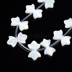 Natural White Shelll Beads Strands&nbsp;SSHEL-S278-123B