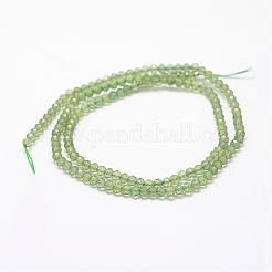 Natural Green Apatite Beads Strands&nbsp;G-F460-58