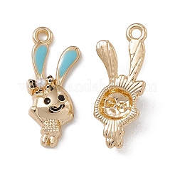 Alloy Enamel Pendants&nbsp;ENAM-K066-07A