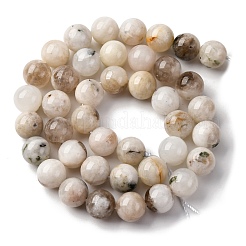 Natural White Moonstone Beads Strands&nbsp;G-I388-01-10mm