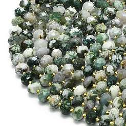 Natural Tree Agate Beads Strands&nbsp;G-P573-A17-01