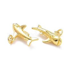 Brass Pendants&nbsp;KK-L188-40G