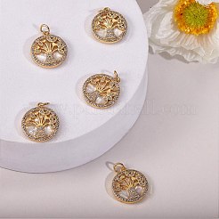 5Pcs Brass Micro Pave clear Cubic Zirconia Pendants&nbsp;ZIRC-SZ0002-55