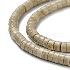 Natural Fossil Bead Strands&nbsp;G-F631-A44