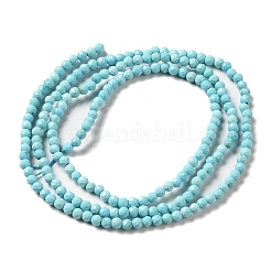 Natural Howlite Beads Strands&nbsp;G-C025-03A-01