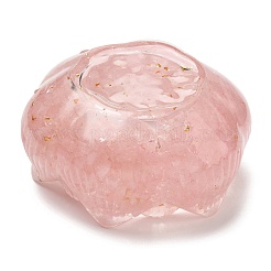 Resin Incense Burners&nbsp;DJEW-H012-01A