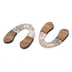 Transparent Resin & Waxed Walnut Wood Pendants&nbsp;RESI-Q211-01B