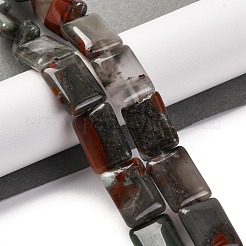 Natural African Bloodstone Beads Strands&nbsp;G-T047-B06-01