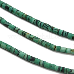 Dyed Synthetic Turquoise Beads Strands&nbsp;G-P594-01B-06