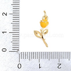 Brass Pendants&nbsp;KK-H273-44G-04