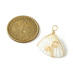 Natural Shell Copper Wire Wrapped Pendants&nbsp;PALLOY-TA00080