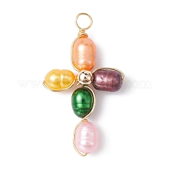 Dyed Natural Cultured Freshwater Pearl Pendants&nbsp;PALLOY-JF02230-01