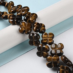 Natural Tiger Eye Beads Strands&nbsp;G-M418-D04-01