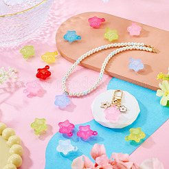 20Pcs Transparent Acrylic Pendants&nbsp;MACR-TADJ0001-05