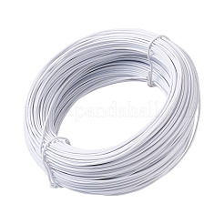 1 Roll Round Iron Wire&nbsp;FIND-YS0001-06A