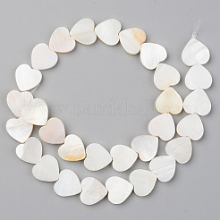 Natural Freshwater Shell Beads Strands&nbsp;X-SHEL-S276-87