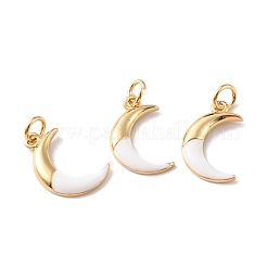 Rack Plating Brass Pendants&nbsp;KK-F852-19G