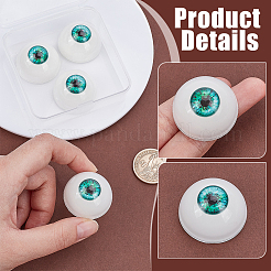 2 Pairs Plastic Craft Eyes&nbsp;DIY-PH0029-60B