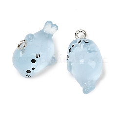 Transparent Resin Pendants&nbsp;RESI-H043-03P