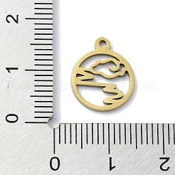 304 Stainless Steel Charms&nbsp;STAS-C097-39G