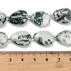 Natural Tree Agate Beads Strands&nbsp;G-NH0068-01
