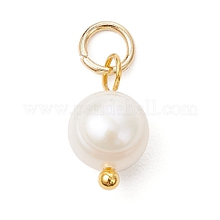 Natural Cultured Freshwater Pearl Two Sides Polished Charms&nbsp;PALLOY-JF04036-01