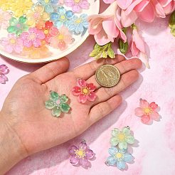24Pcs 12 Colors Translucent Resin Pendants&nbsp;RESI-CJ0002-50